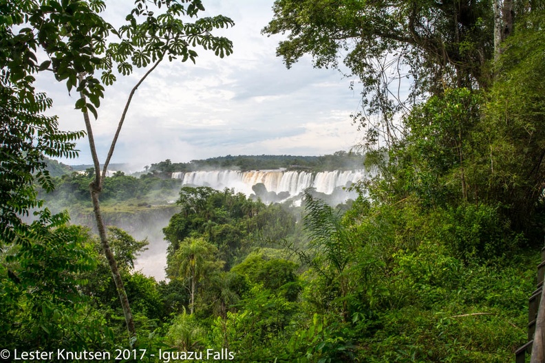 LesterKnutsen 2017 IguazuFalls DSC5196