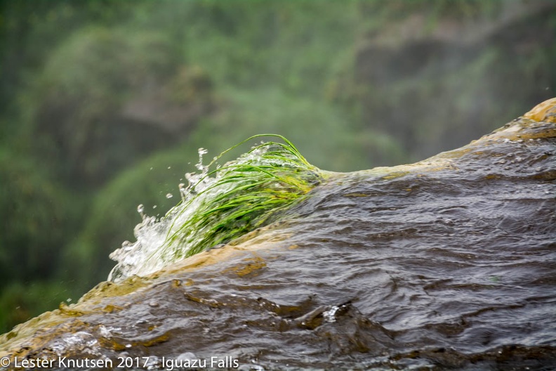 LesterKnutsen 2017 IguazuFalls DSC5238