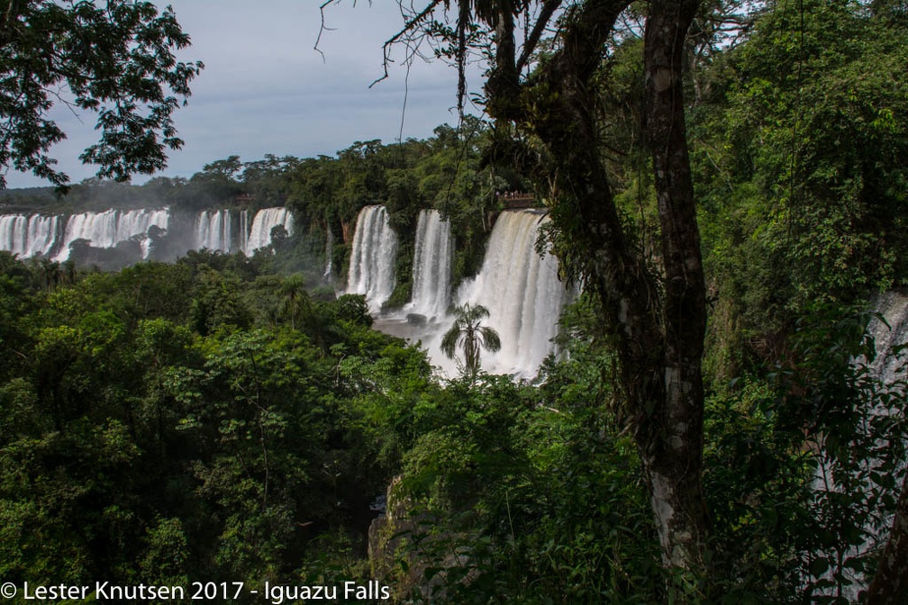 LesterKnutsen 2017 IguazuFalls DSC5420
