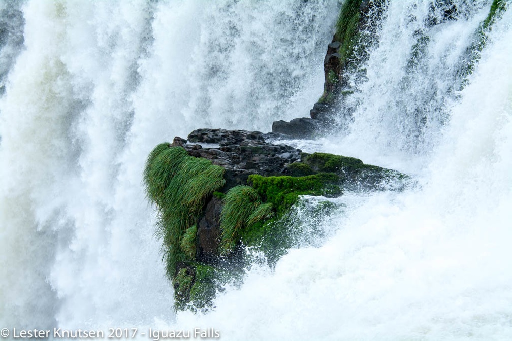 LesterKnutsen 2017 IguazuFalls DSC5598