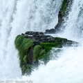 LesterKnutsen 2017 IguazuFalls DSC5598
