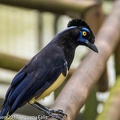 LesterKnutsen 2017 IguazuFalls DSC5728