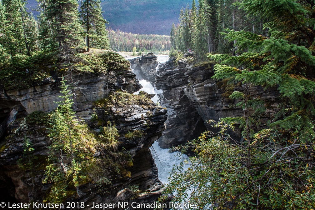 LesterKnutsen CanadianRockies 2018  DSC8442