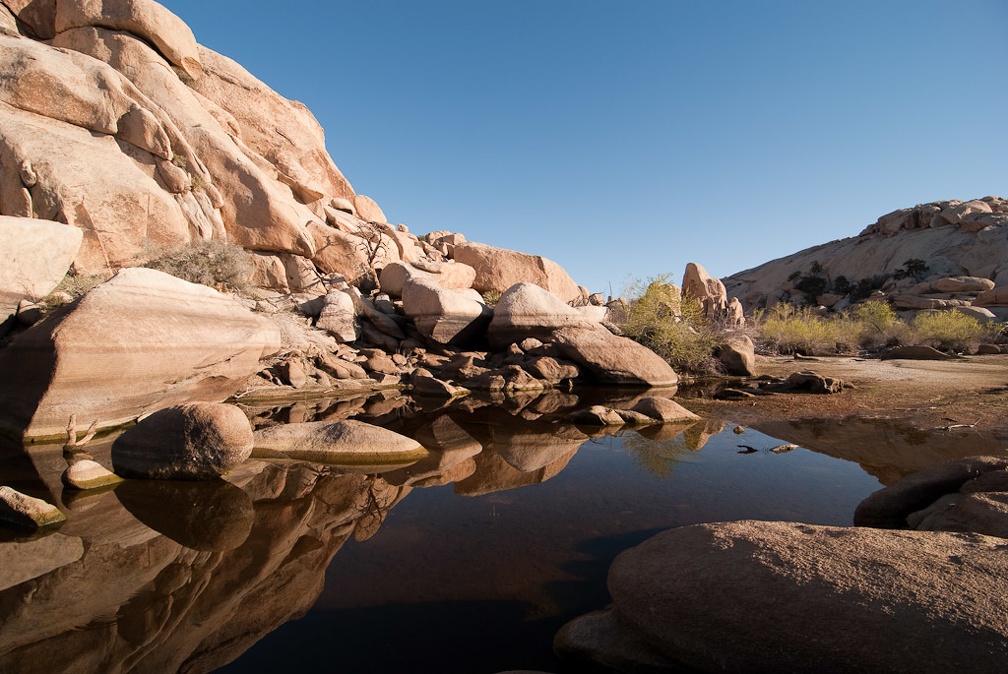 LesterKnutsen JoshuaTree 03 DSC 7390