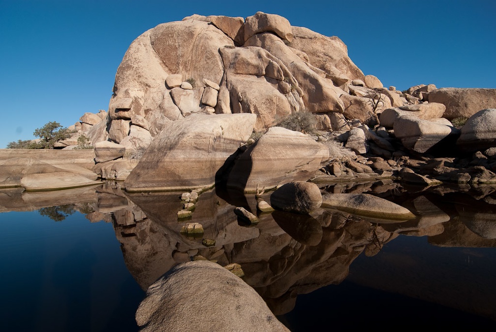 LesterKnutsen JoshuaTree 03 DSC 7384