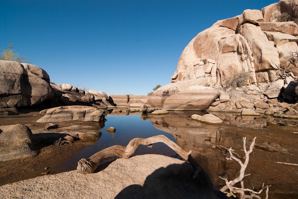 LesterKnutsen JoshuaTree 03 DSC 7439