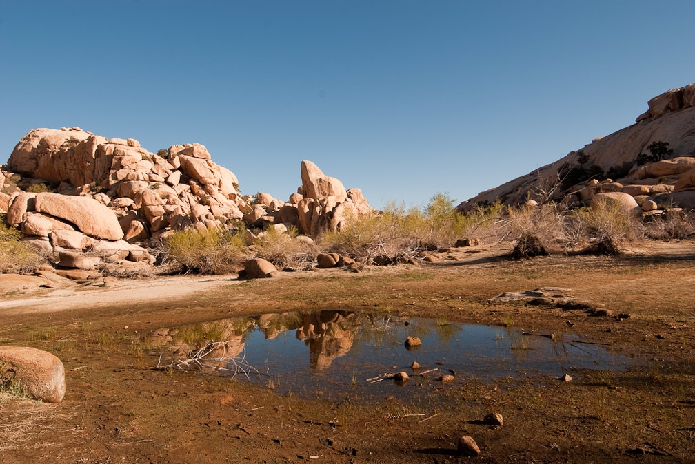 LesterKnutsen JoshuaTree 03 DSC 7427