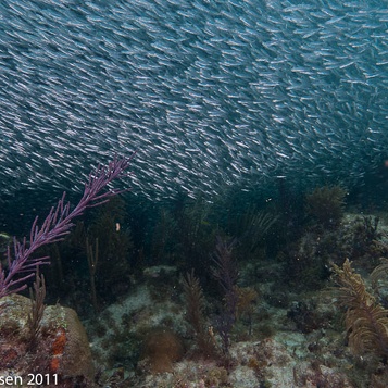 KeyLargo2011-2