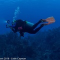 LesterKnutsen 2017 Little Cayman DSC2230