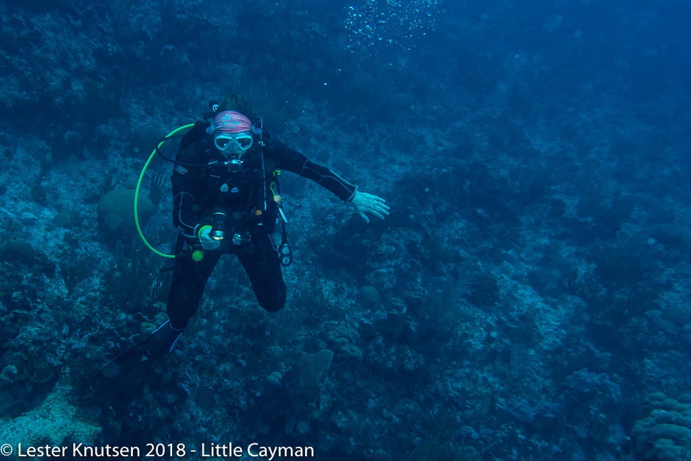 LesterKnutsen 2018 LittleCayman-6067