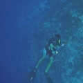Palau_Dive_06_Big_Drop_Off_IMG_5872_edited_1.jpg