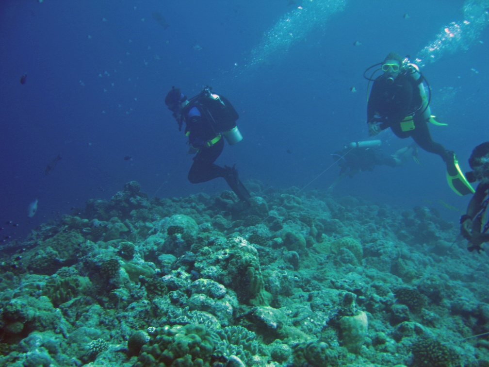 Palau Dive 07 New Drop Off IMG 5888 edited 1