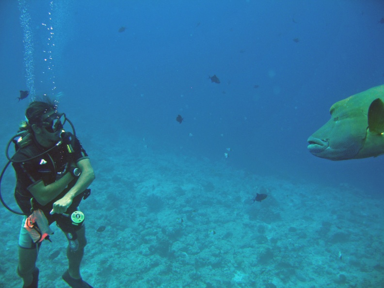 Palau_Dive_07_New_Drop_Off_IMG_5968_edited_1.jpg