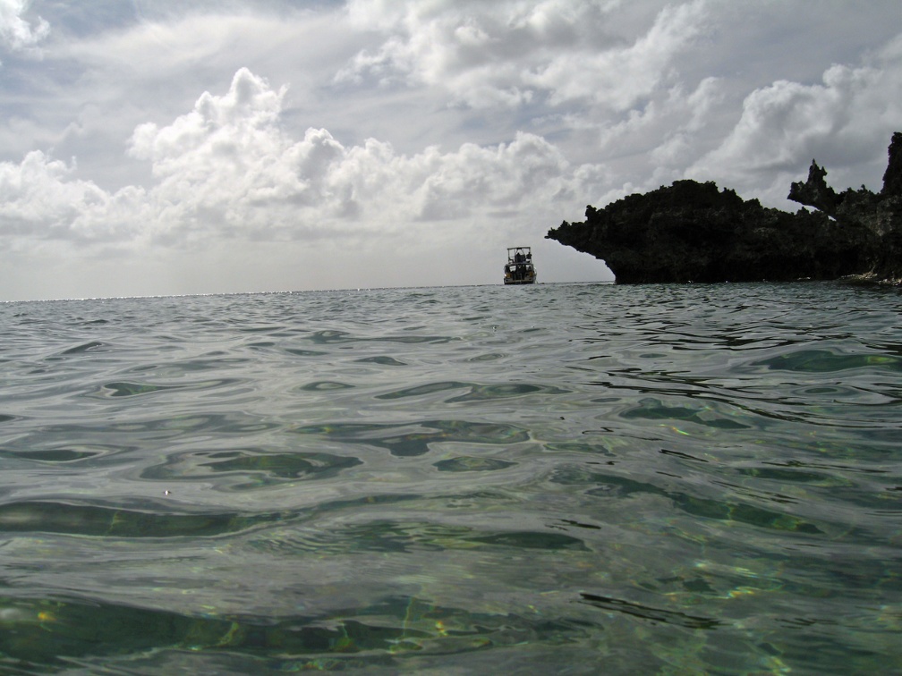 Palau Dive 08 Snorkel Turtle Cove IMG 5995 edited 1