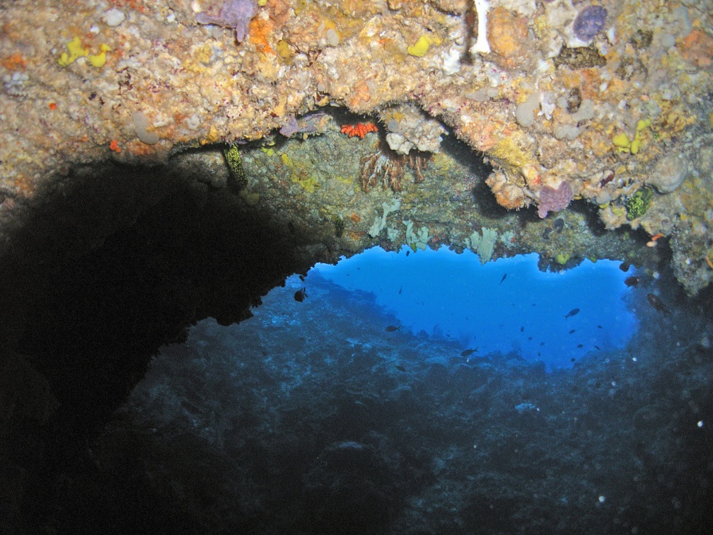 Palau Dive 11 Siaes Tunnel M0012726 edited 1