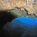 Palau Dive 11 Siaes Tunnel M0012726 edited 1