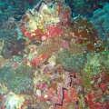 Palau Dive 13 Chuyo Maru WW II Wreck IMG 6364 edited 1