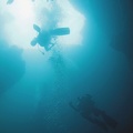 Palau_Dive_14_Blue_Hole_IMG_6406_edited_1.jpg