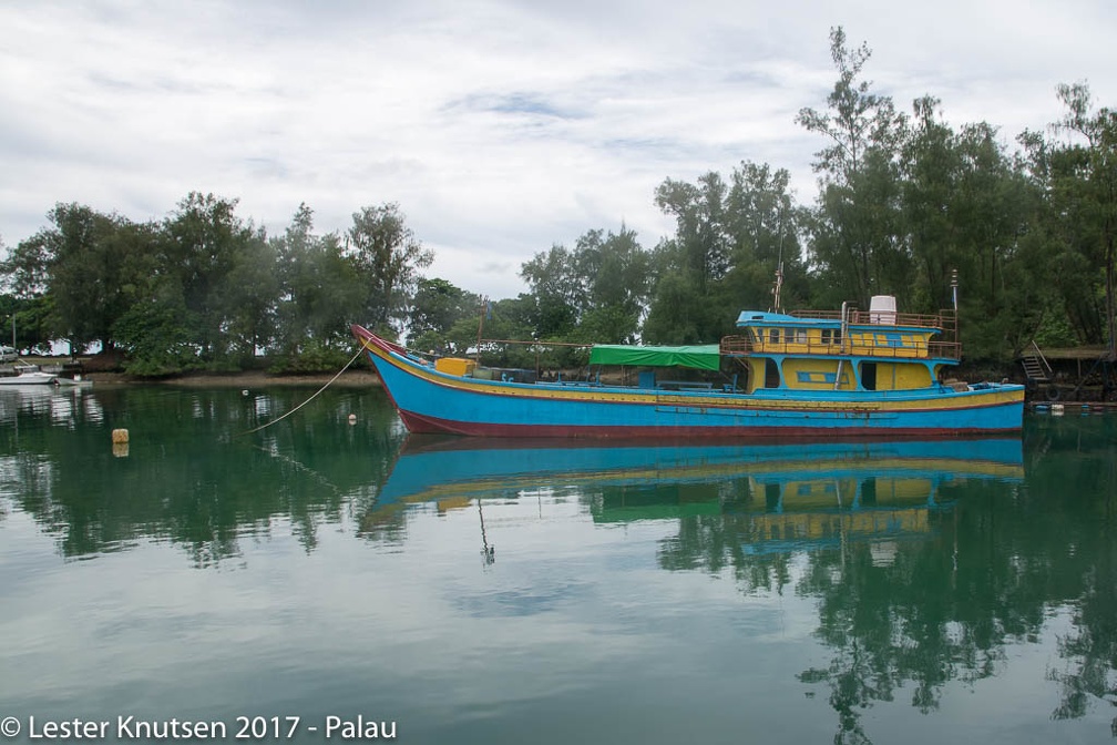 LesterKnutsen 2017 Palau DSC9867