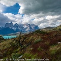 LesterKnutsen_Patagonia2014__DSC8262.jpg