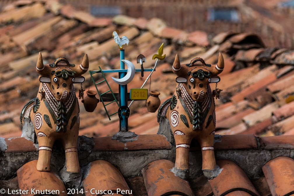 LesterKnutsen Cusco2014  DSC8848