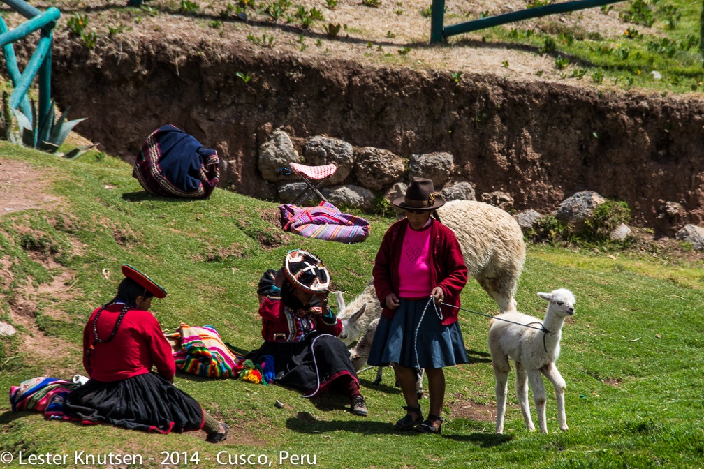 LesterKnutsen Cusco2014  DSC8894