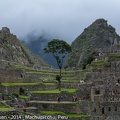 LesterKnutsen Machupicchu2014  DSC8507