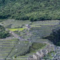 LesterKnutsen Machupicchu2014  DSC8572