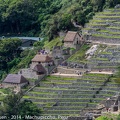 LesterKnutsen Machupicchu2014  DSC8574