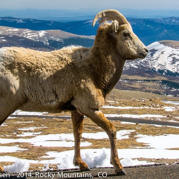 Colorado