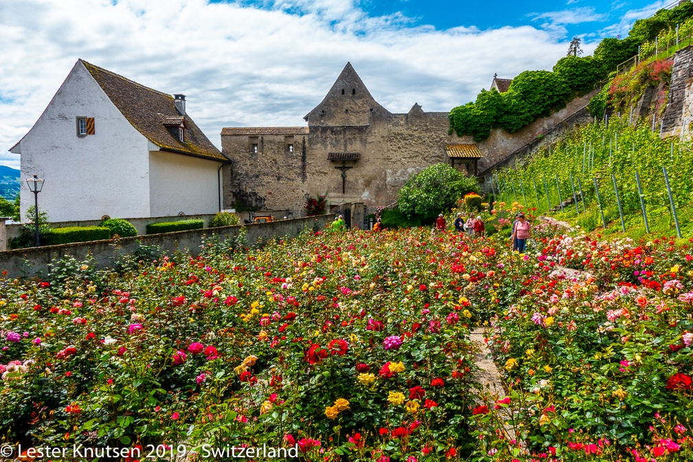 LesterKnutsen2019 Switzerland DSC8076