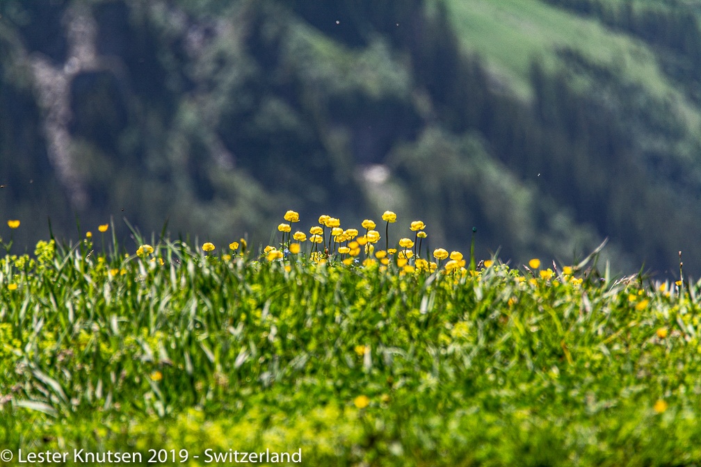 LesterKnutsen2019 Switzerland DSC5344