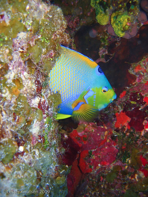 LesterKnutsen Turks Caicos IMG 2114