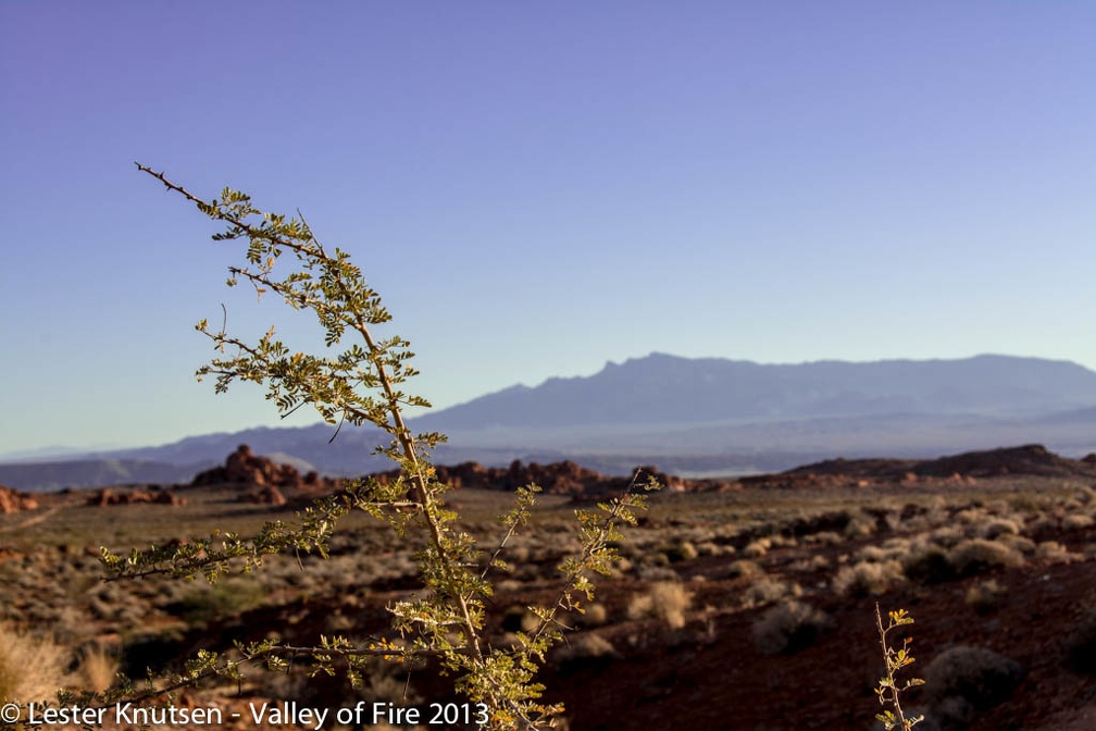 LesterKnutsen ValleyofFire 2013 DSC3088