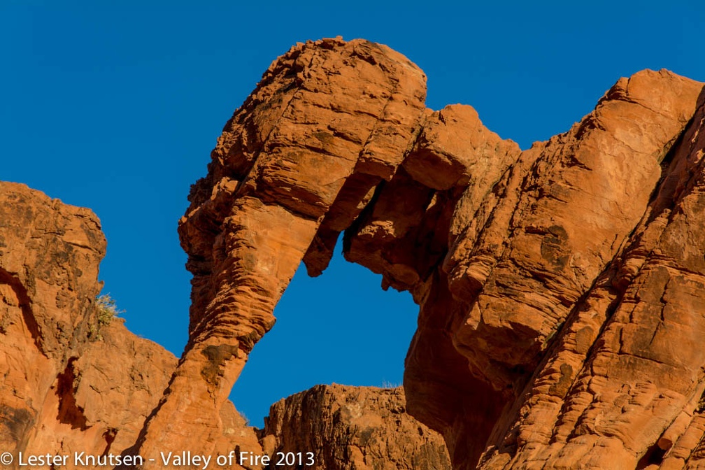 LesterKnutsen ValleyofFire 2013 DSC3104