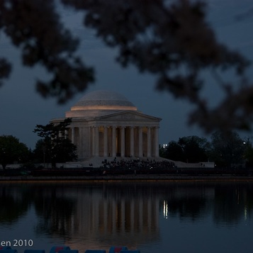 WashingtonCherryBlossoms2010