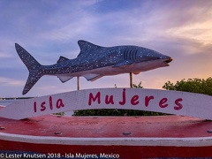 LesterKnutsen 2018 Mexico IMG 1701