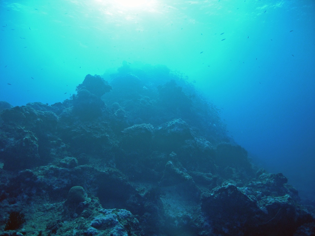 Yap Dive 3 Miil Channel M0013023 edited 1