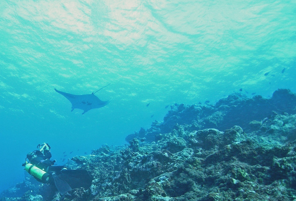 Yap Dive 3 Miil Channel M0013041 edited 1