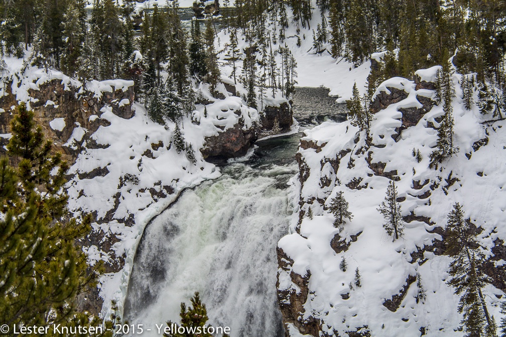 LesterKnutsen Yellowstone 2015 DSC0065