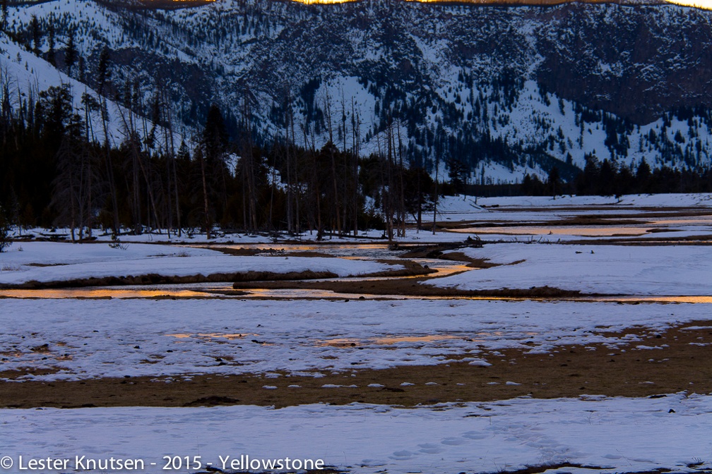 LesterKnutsen Yellowstone 2015 DSC0147
