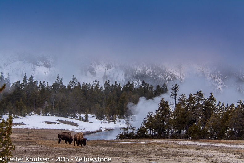 LesterKnutsen_Yellowstone_2015_DSC0239.jpg