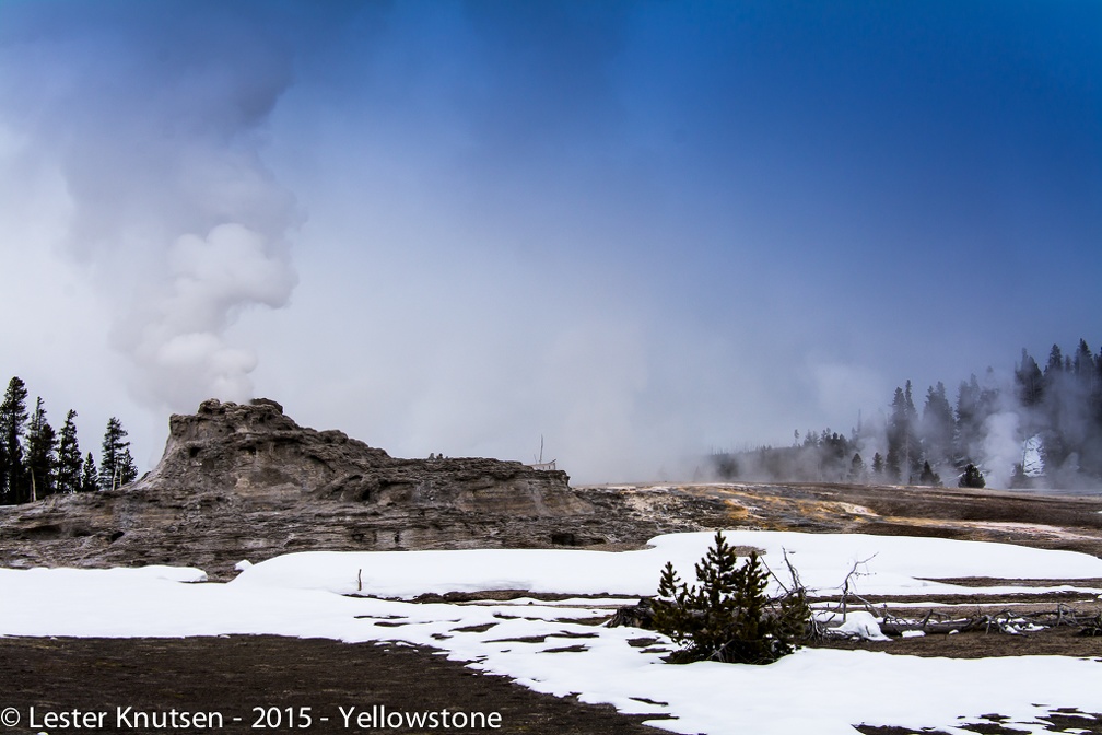 LesterKnutsen Yellowstone 2015 DSC0557