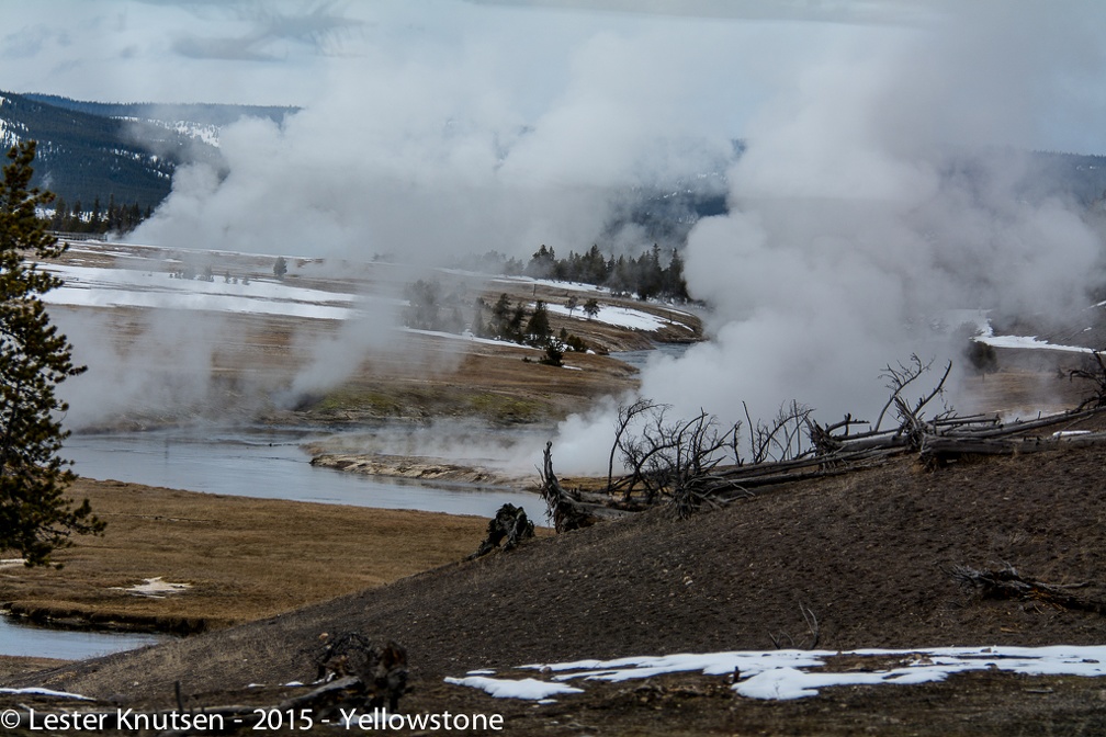 LesterKnutsen Yellowstone 2015 DSC0843