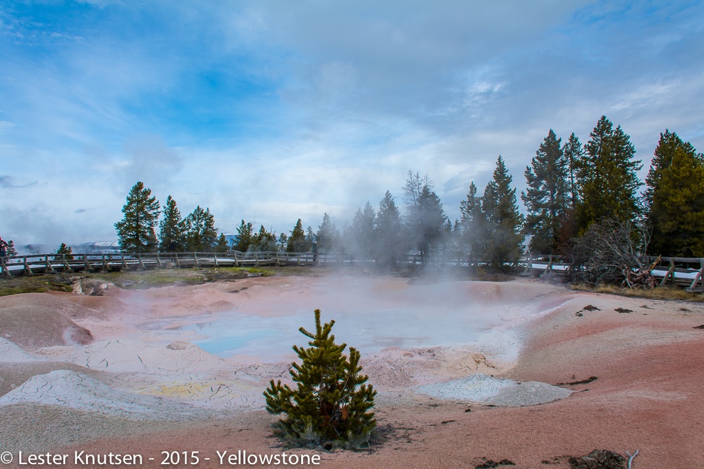 LesterKnutsen Yellowstone 2015 DSC0892