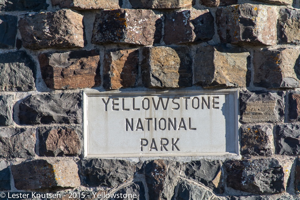 LesterKnutsen Yellowstone 2015 DSC9332