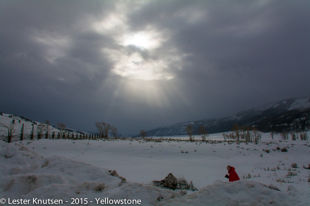 LesterKnutsen Yellowstone 2015 DSC9602