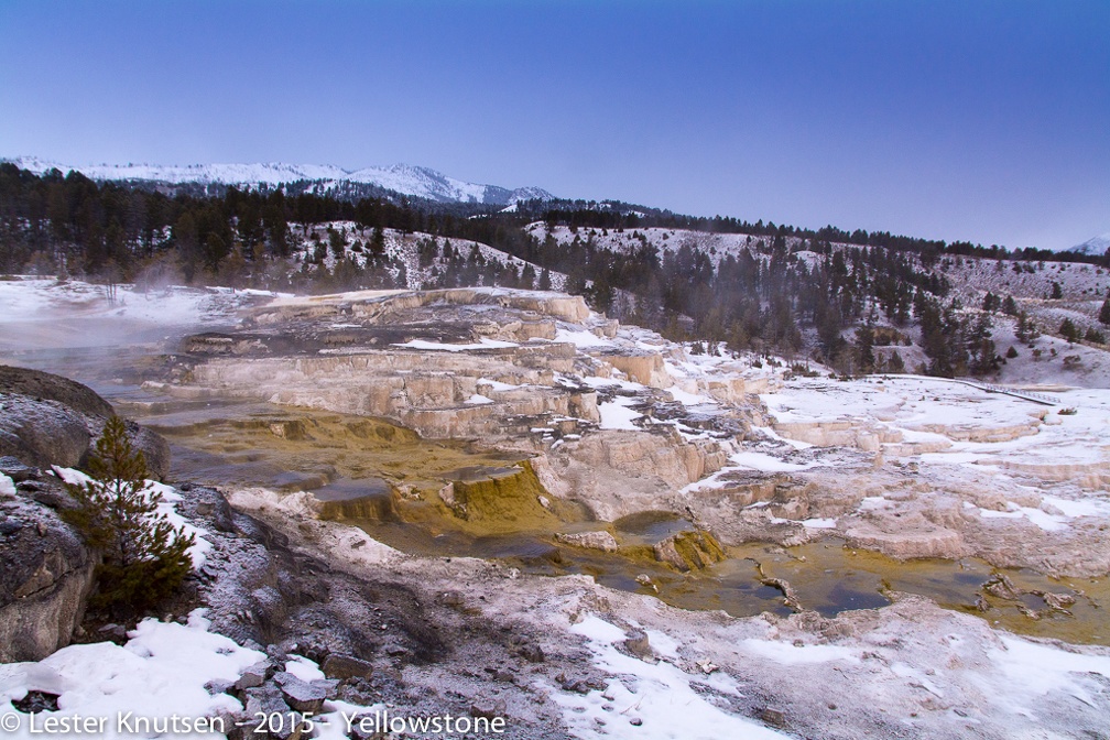 LesterKnutsen Yellowstone 2015 DSC9826