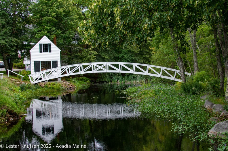 LesterKnutsen2022_Acadia_DSC3736.jpg