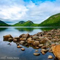 LesterKnutsen2022 Acadia DSC3762